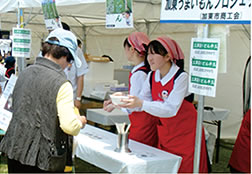 爽やか三草茶うどん